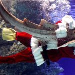 Un bus vestit de Pare Noel neda entre els peixos de l'Aquari de Tòquio (Japó). (EFE)