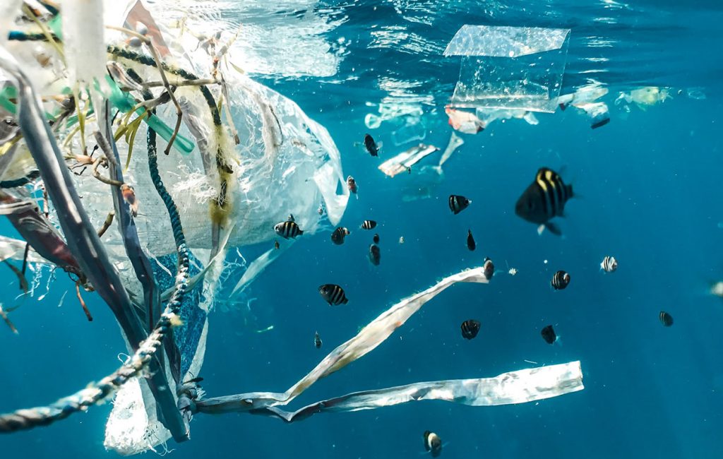 Plásticos en el Mediterráneo