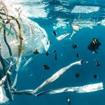 Plásticos en el Mediterráneo