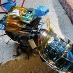 Cucaracha robot