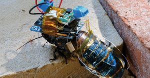 Cucaracha robot
