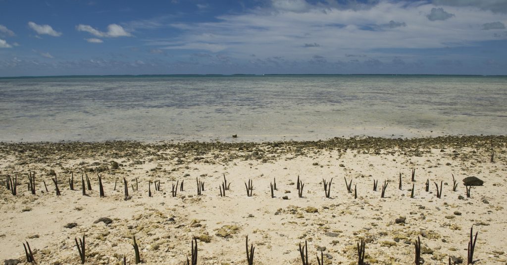 Desigualdad climática