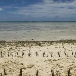 Desigualdad climática