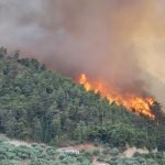 El Mediterráneo está sufriendo intensos incendios forestales. En la foto, imagen de archivo de incendio forestal en Grecia (Lotus R/WikiCommons)
