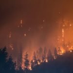 El fuego destruye bosques y ecosistemas y supone un riesgo para el planeta (Matt Howard/Unsplash)