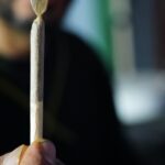 El cannabis es especialmente peligroso en personas jóvenes, embarazadas y conductores Pixabay