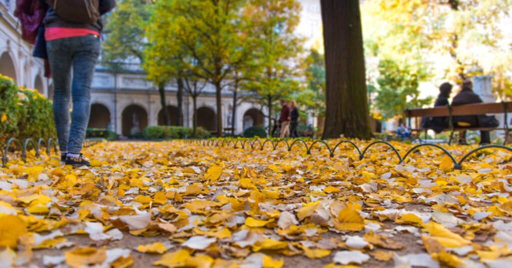 El equinoccio marca el inicio del otoño en el hemisferio norte (Freepik)