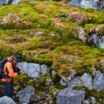 La península Antártica se ha “reverdecido” considerablemente en los últimos años (Dan Charman/Nature)