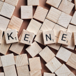 Consulta las fake news de la camapaña electoral estadounidense/Canva