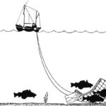 La técnica de arrastre utiliza una gran red para realizar las capturas/NOAA-Wikimedia Commons