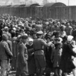 Selección de presos en Auschwitz II-Birkenau (mayo-junio de 1944)/Bernhard Walter / Wikimedia Commons
