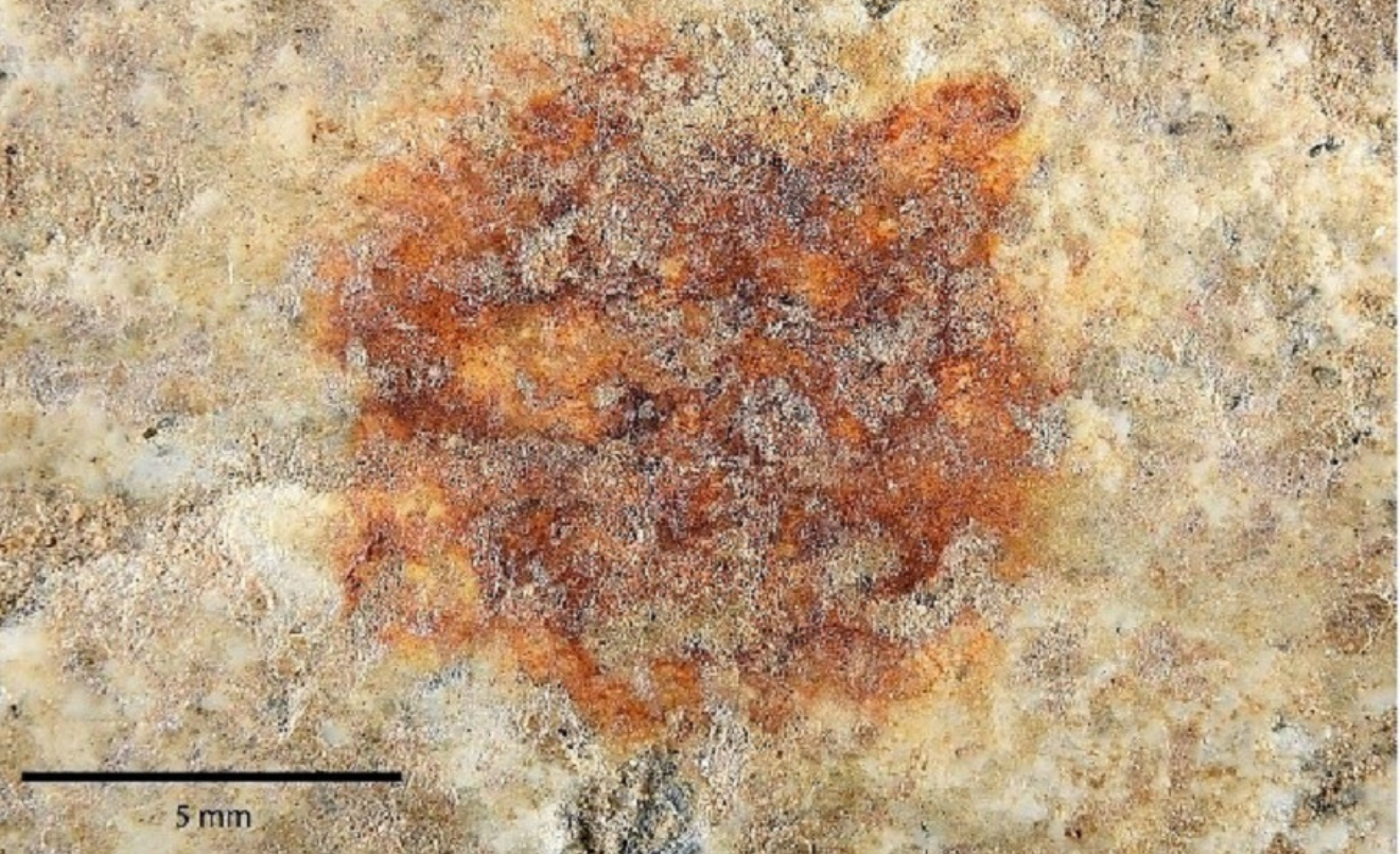 L'empremta ha estat analitzada