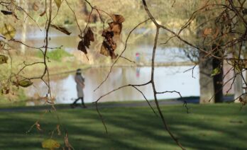 En otoño los días son más cortos y se caen las hojas de muchos árboles. (Latimision / Wikimedia Commons)