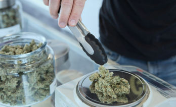 El cannabis para uso terapéutico solo se dispensará en los hospitales/ (Budding / Unsplash)